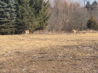 5839 Conway Rd, Chelsea, MI 48118