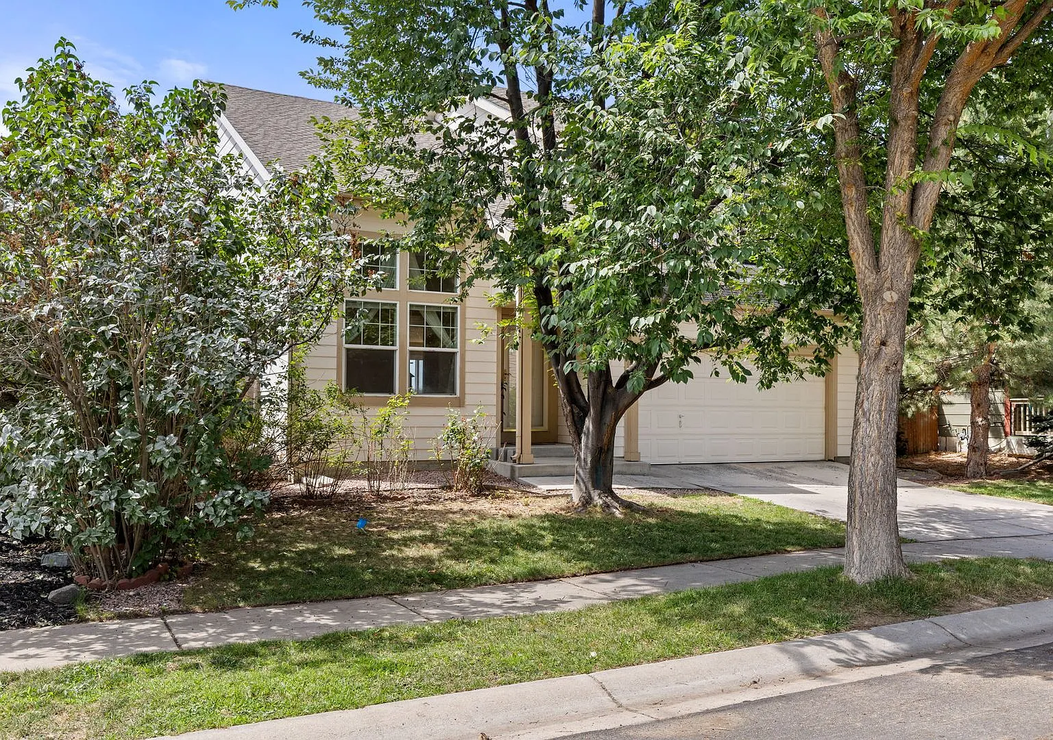 2021 Falcon Ridge Drive, Fort Collins, CO 80528 — Photo 4
