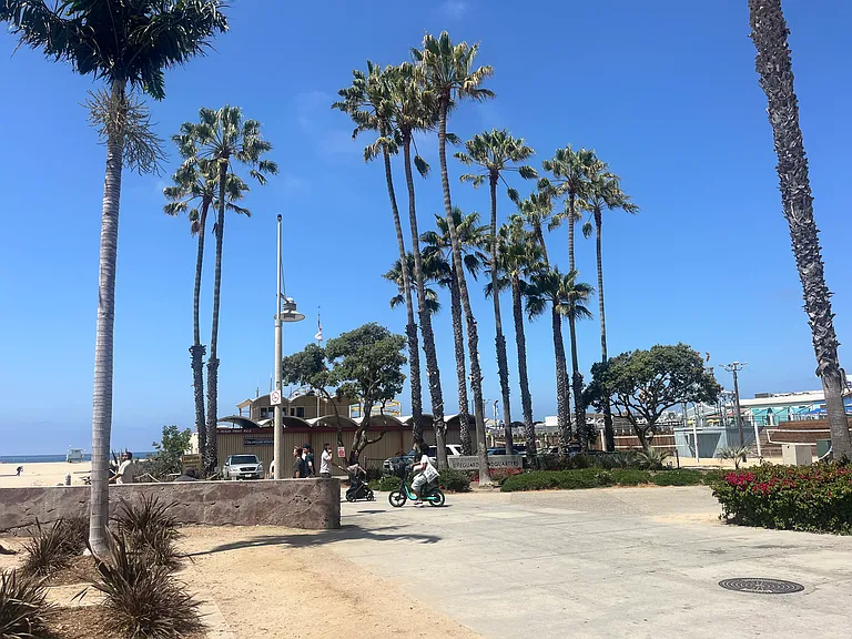 1647 Ocean Front Walk #2 — Photo 12