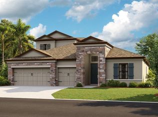 12873 Tortoise Shell Pl, Riverview, FL 33579