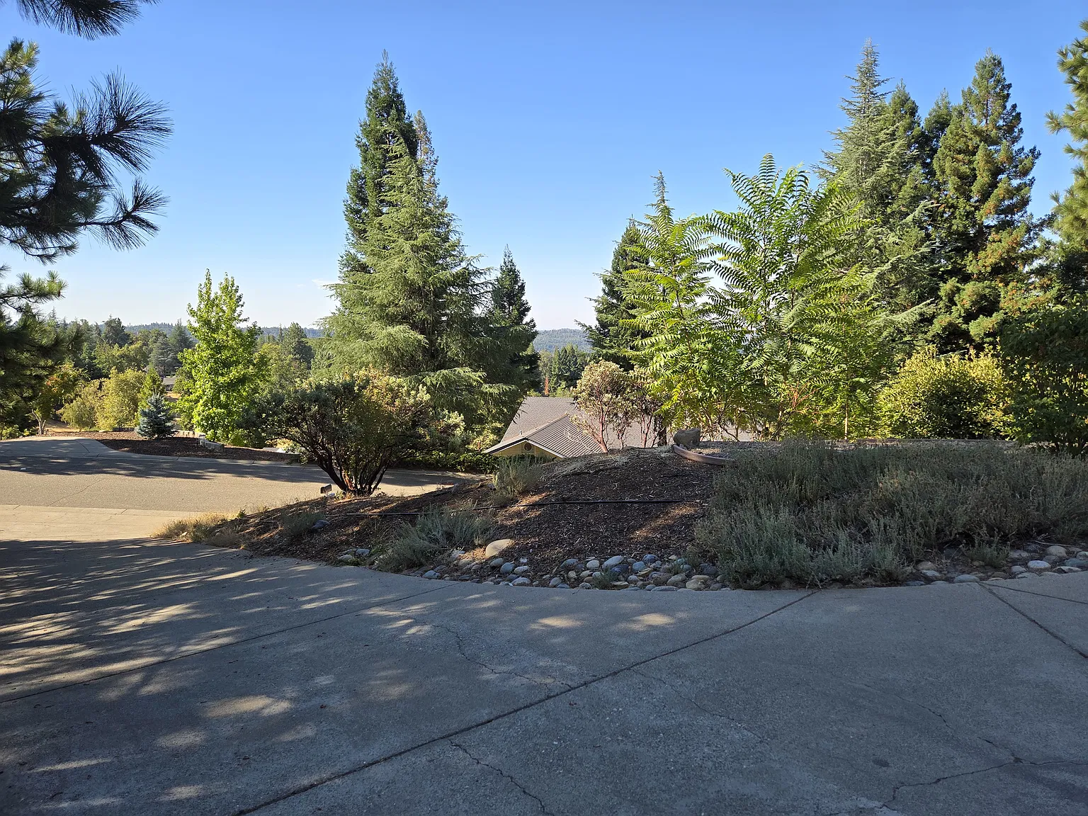 3 bed, 2309 sqft, $2,950 — Photo 2