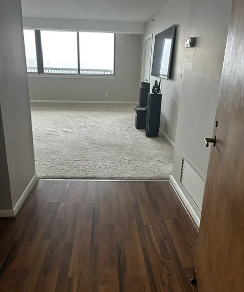 5501 Seminary Rd #1207 — Photo 20