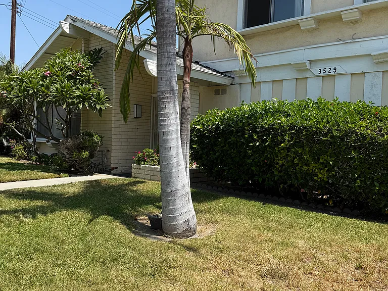 3529 W Cornelia Cir #3 — Photo 3