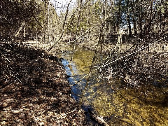 Beautiful woods and stream in back of property