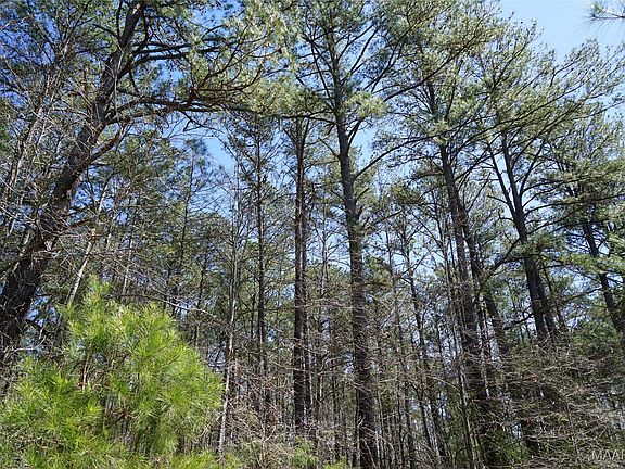 2nd image of 831 Old Barnes Rd