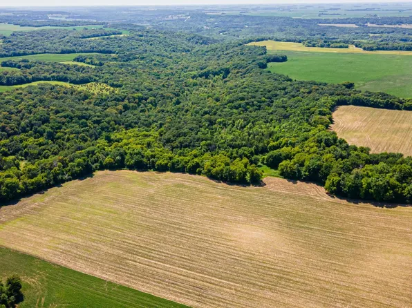 0 210th St, Renville, MN 56284