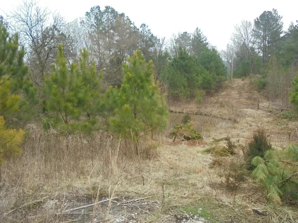 6384 Highway 190, Mc Kenzie, TN 38201