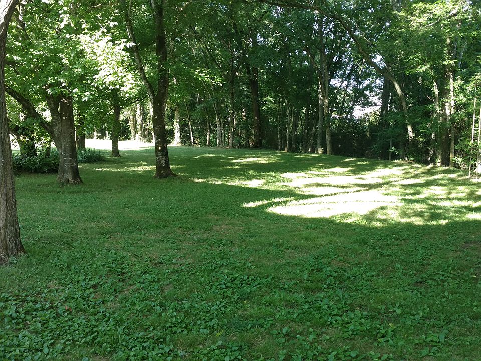 Shaded back yard