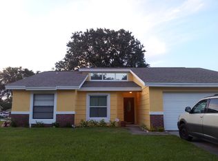 726 Hazy Meadow Ct, Brandon, FL 33510