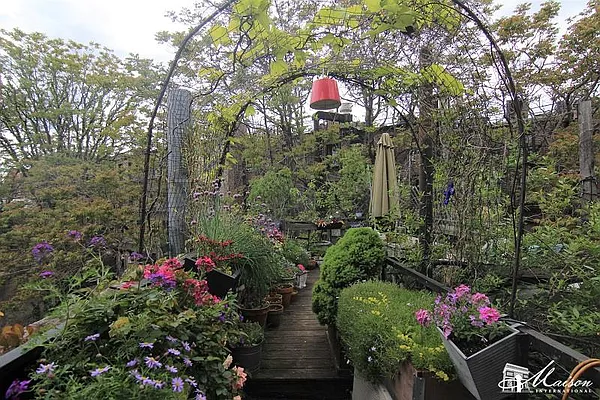 Rented by Maison International | media 9