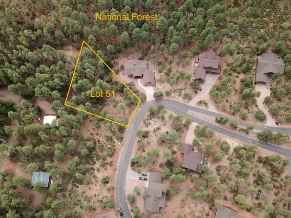 51 Forest Trail Court #51, Pine, AZ 85544