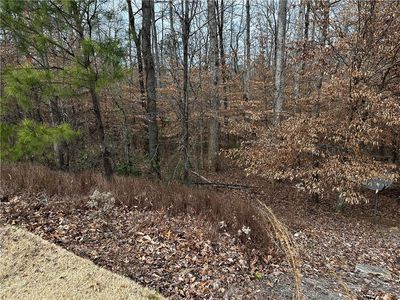 2623 Danbury Dr, Auburn, AL, 36830