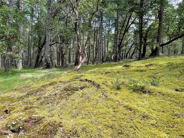LOT 2 Driftwood Dr, Nanaimo, BC V0R 1X6