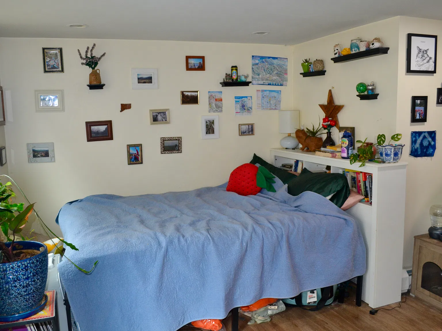 Studio, 352 sqft, $1,700 — Photo 2