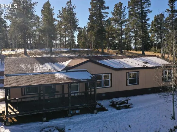 1067 Rangeview Rd, Divide, CO 80814