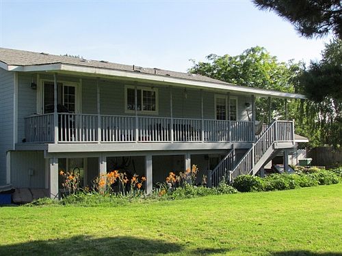 Back View
