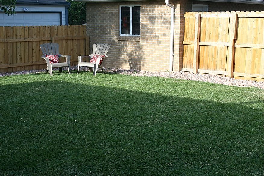 Back yard 
