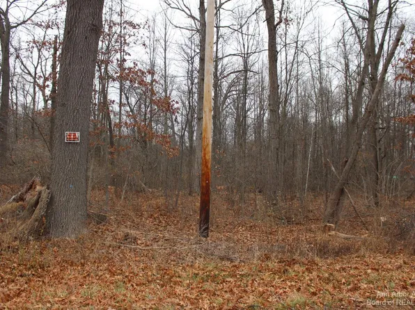 0 Orban Rd Parcel A, Grass Lake, MI 49240