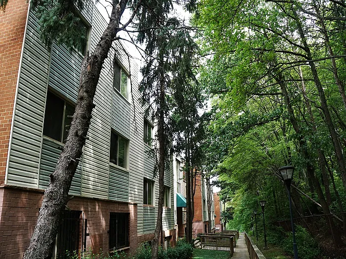Kings Square Apartments — Photo 6