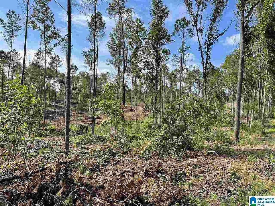 1st image of 3619 County Road 30 Tract #1