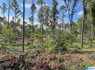 3619 County Road 30 Tract #1, Roanoke, AL 36274