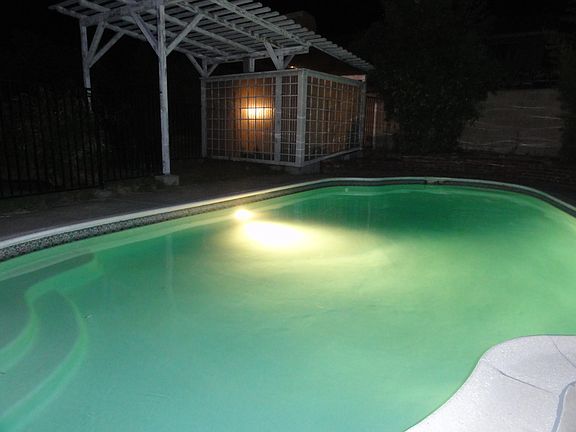 Lighted Pool & Shed