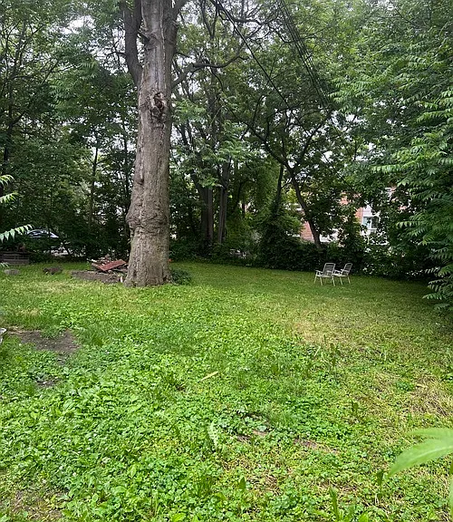 119 N Hamilton St #5 — Photo 33