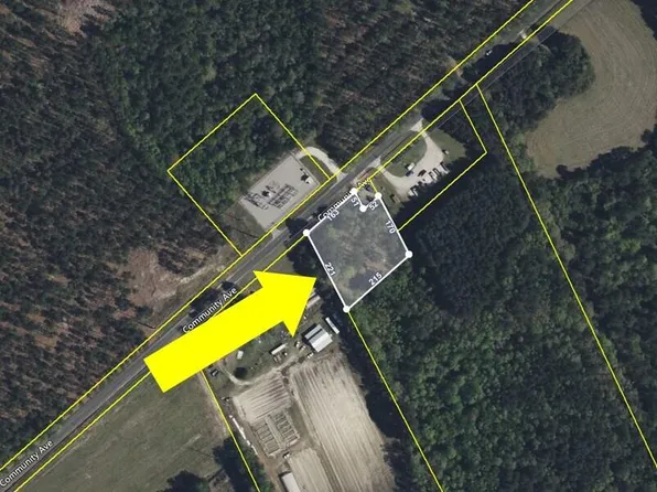 296 Community Ave, Smoaks, SC 29481