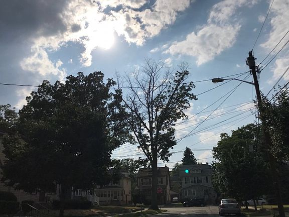 5th image of 33 Fleetwood Pl