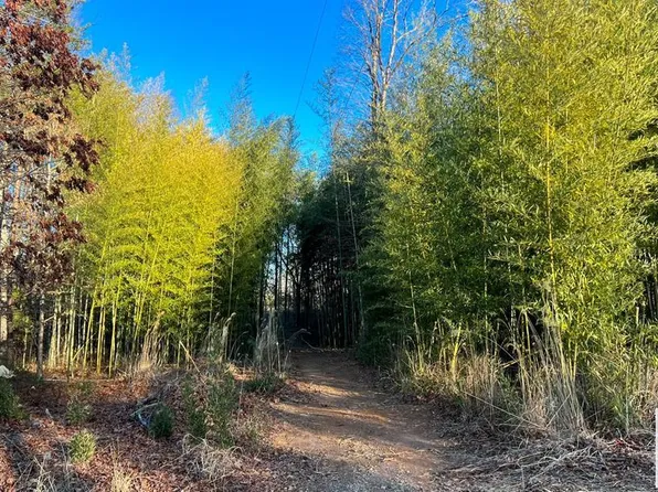 0 Candyland Rd, Bassett, VA 24055