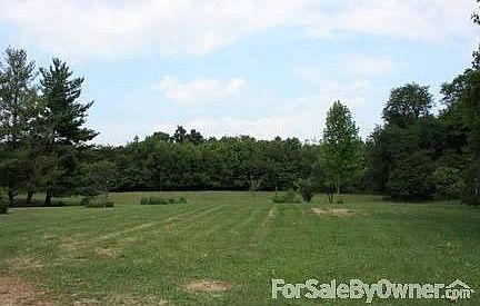 A view of the backyard.