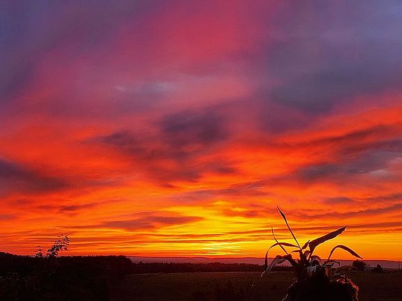 Explosive sunsets from deck!