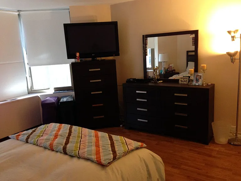 535 N Michigan Ave #506 — Photo 6