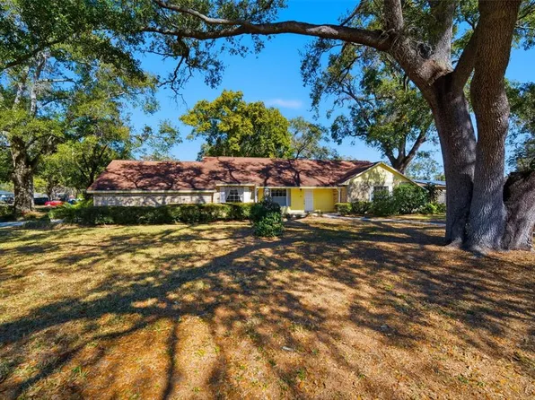 2207 Parkwood Dr, Valrico, FL 33594