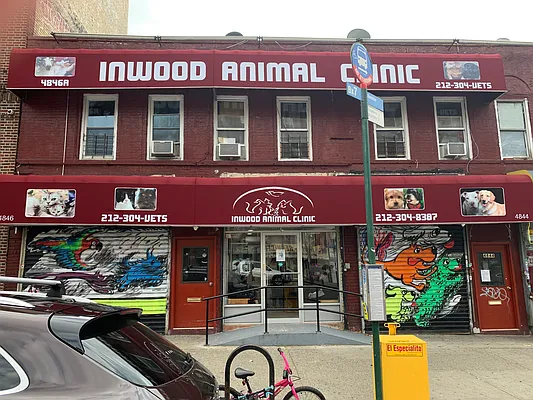 Rented by Bond New York | media 11