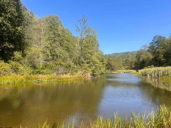 Moyers Rd, Bruceton Mills, WV 26525