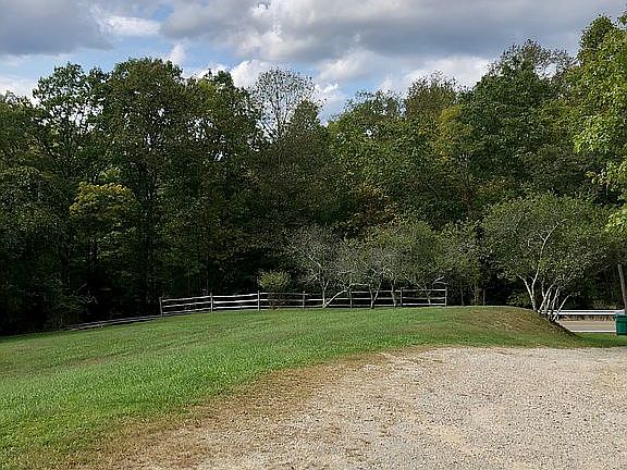 Driveway and corner of yard