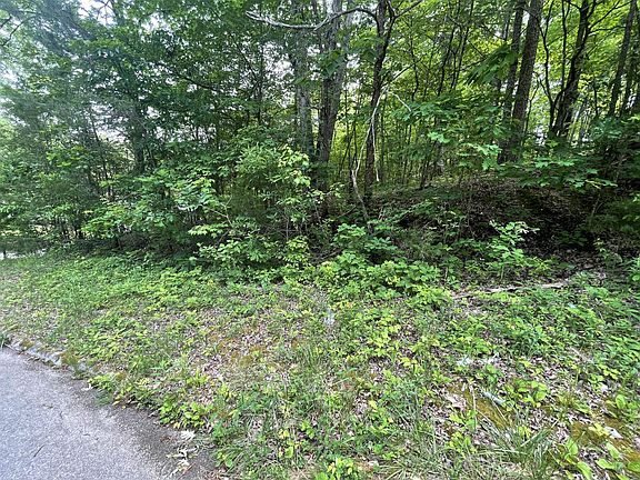 4th image of LOT 55 Tonja Ln