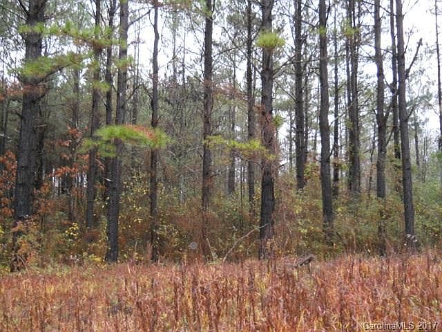 2nd image of 0 Will Dixon Rd