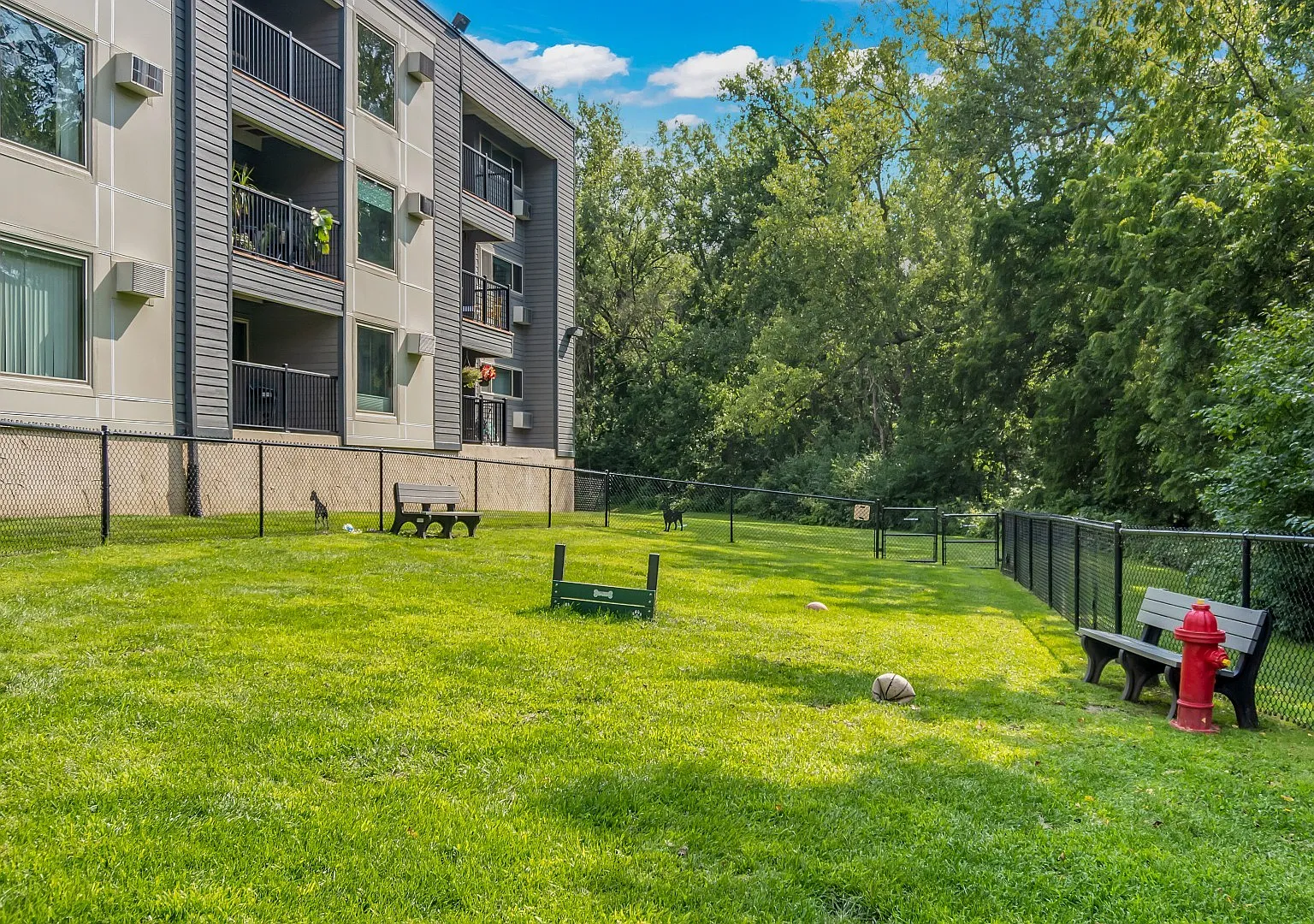 Hillsborough Apartments — Photo 4