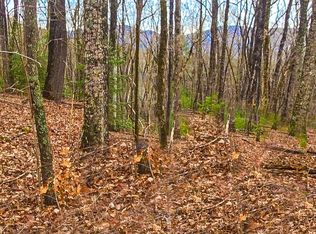 Twiggs Dr, Ellijay, GA 30536