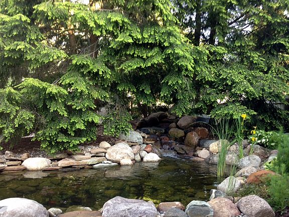 Pond