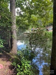 0 Lakewood Dr, Lake Lure, NC, 28746