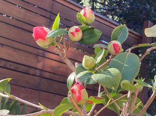 3800 Multiview Dr, Los Angeles, CA 90068