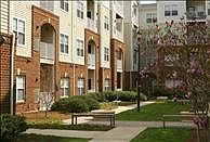 4th image of 100 Luna Park Dr APT 414