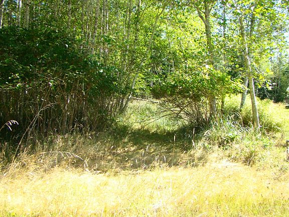 5th image of 284 Duck Lake Dr SE
