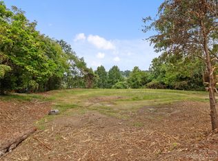 8 Chestnut Ridge Ave, Asheville, NC 28804