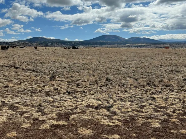 N 3540th Lot 500, Concho, AZ 85924