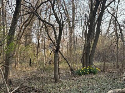 17680 M 140, South Haven, MI, 49090