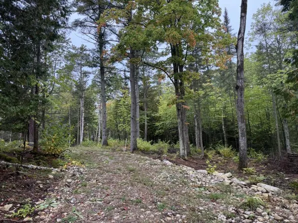 37656 S Meade Island Rd, Drummond Island, MI 49726